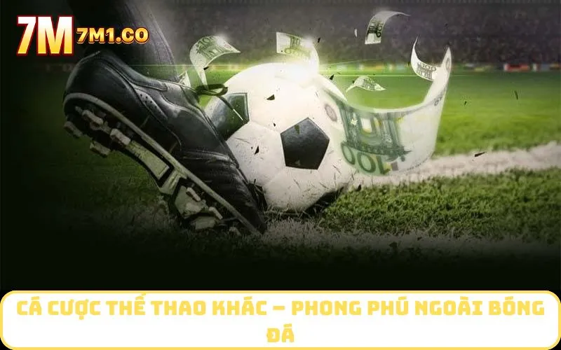 Cá cược thể thao khác – Phong phú ngoài bóng đá