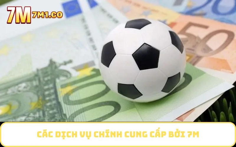 Các dịch vụ chính cung cấp bởi 7M