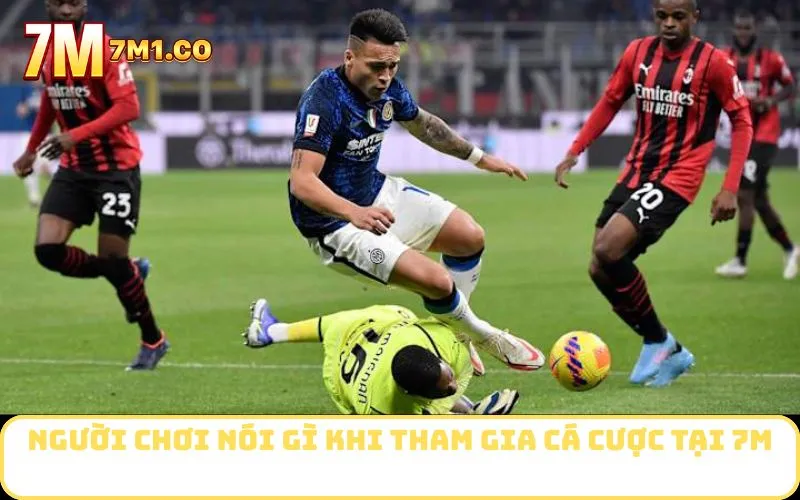 Người chơi nói gì khi tham gia cá cược tại 7M