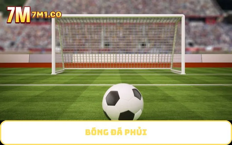 Bóng đá phủi