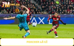 Poacher là gì
